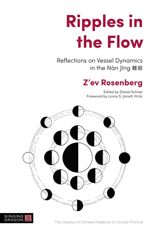 Ripples in the Flow by Lonny S. Jarrett, Daniel Schrier, Z'ev Rosenberg