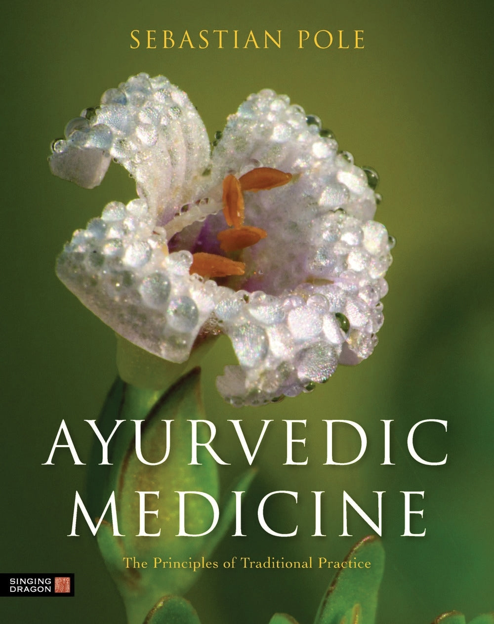 Ayurvedic Medicine by Sebastian Pole