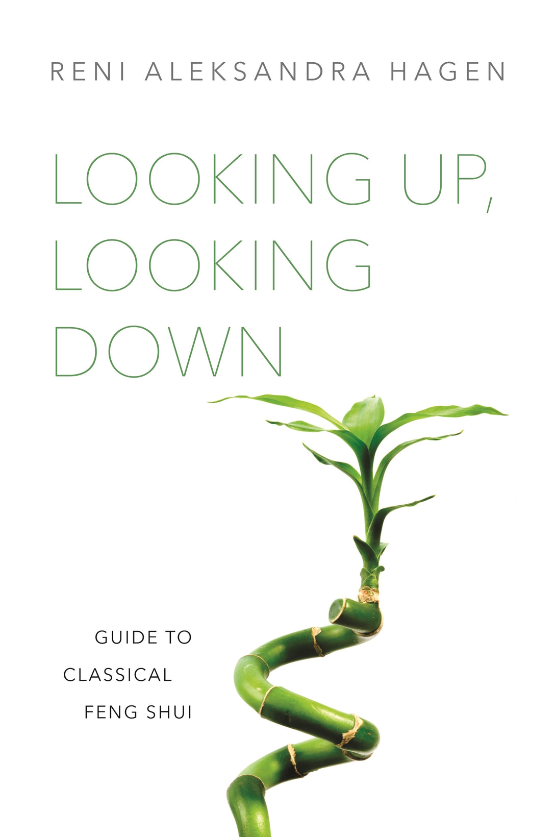 Looking Up, Looking Down by Reni Aleksandra Hagen