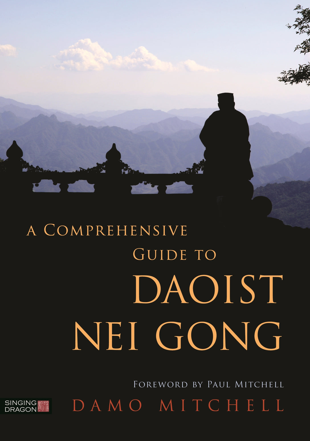 A Comprehensive Guide to Daoist Nei Gong by Damo Mitchell