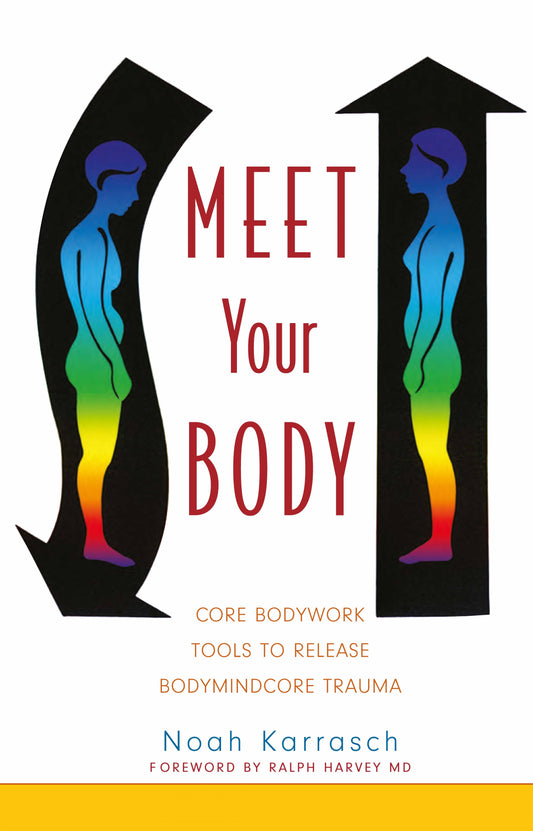 Meet Your Body by Noah Karrasch