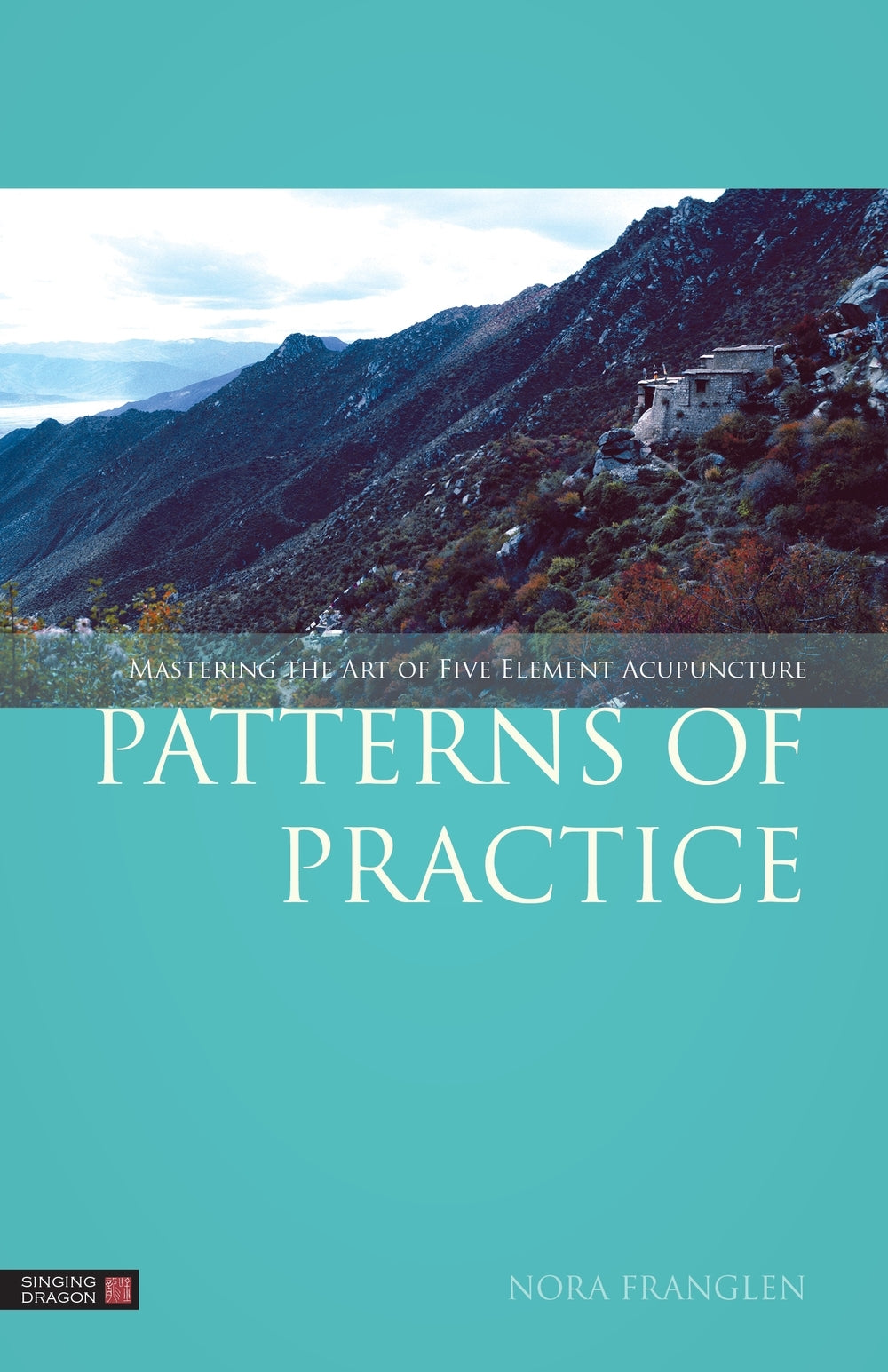 Patterns of Practice by Nora Franglen