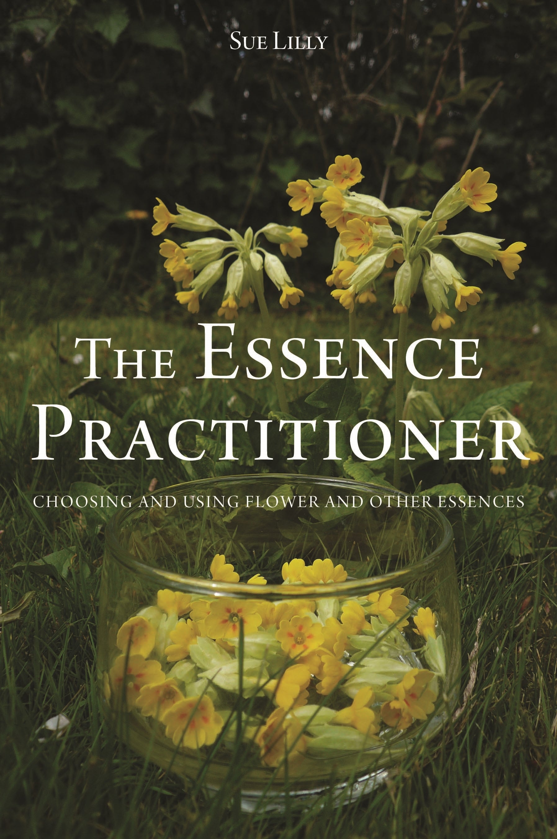 The Essence Practitioner by Tony Pinkus, Sue Lilly