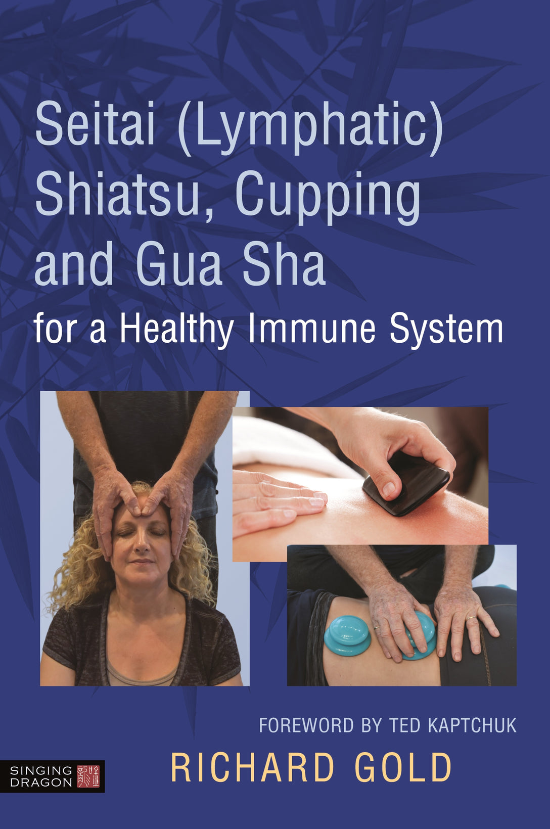 Seitai (Lymphatic) Shiatsu, Cupping and Gua Sha for a Healthy Immune System by Ted Kaptchuk, Kenneth Goff, Dr. Richard Gold