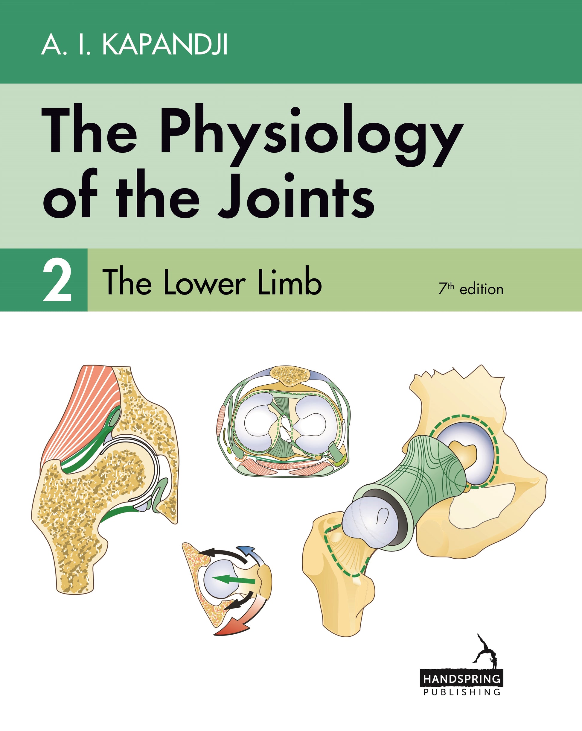 The Physiology of the Joints - Volume 2 by Adalbert Kapandji, Carrie Owerko, Alexandra Anderson